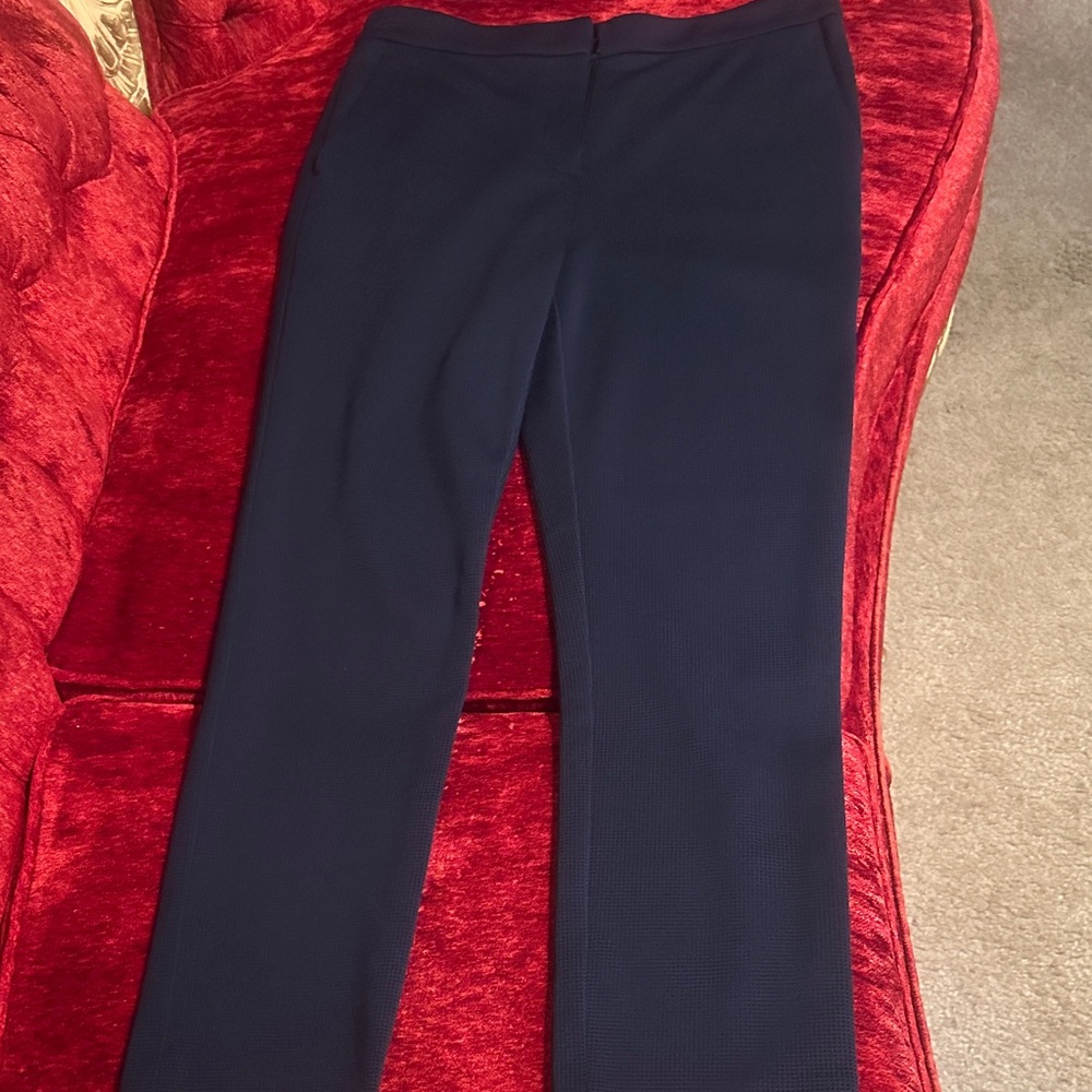 Theory Women's Dark Blue Trousers-No Pockets